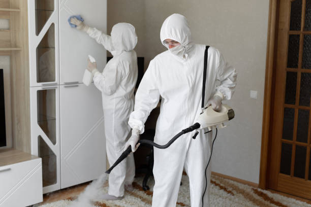 24/7 Emergency Odor Removal experts in Mineola, TX