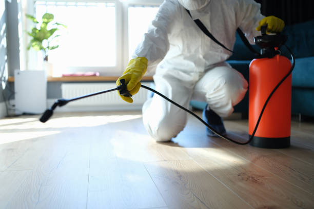 Reliable Odor Removal contractor in Mineola, TX by Dulley Family Biohazard Services
